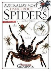 Image of Australia's Most Dangerous Spiders